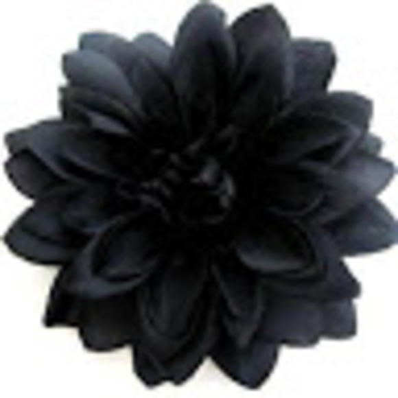 Meet your Posher, Jake - Picture 1 of 1